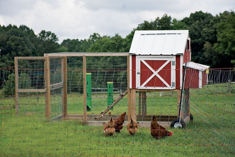 Powerfields Posi/Negi Commercial Poultry Pen