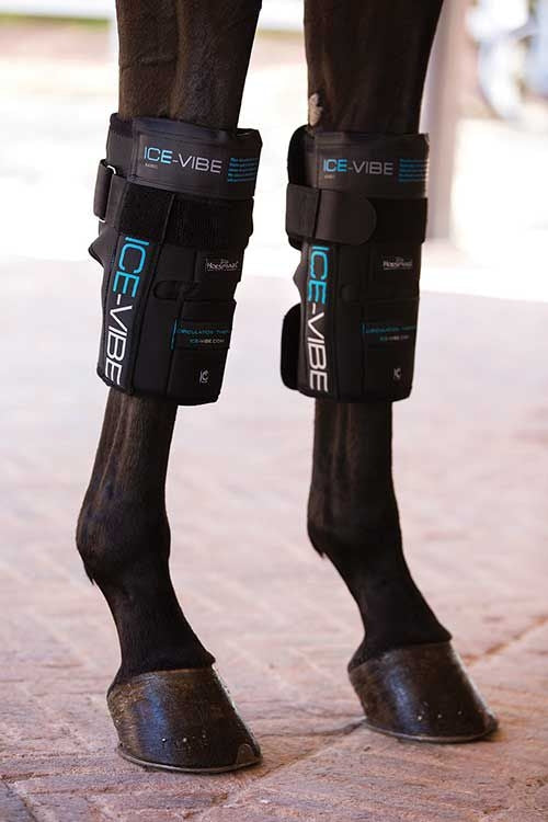 Horseware Ice-Vibe Knee Wrap