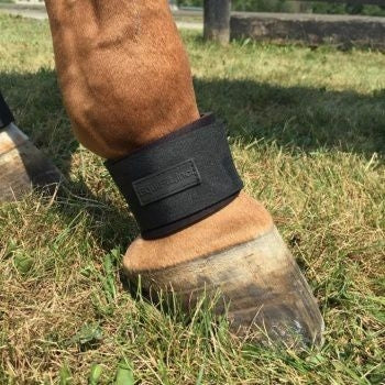 EquiFit Pastern Wrap
