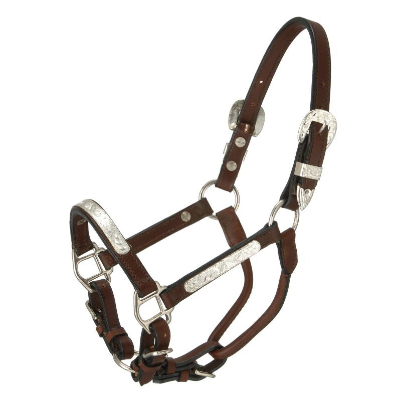 Royal King Silver Bar Mini Show Halter