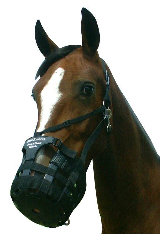 Best Friend Have a Heart Muzzle
