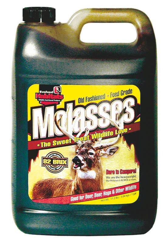 Molasses 1 Gallon