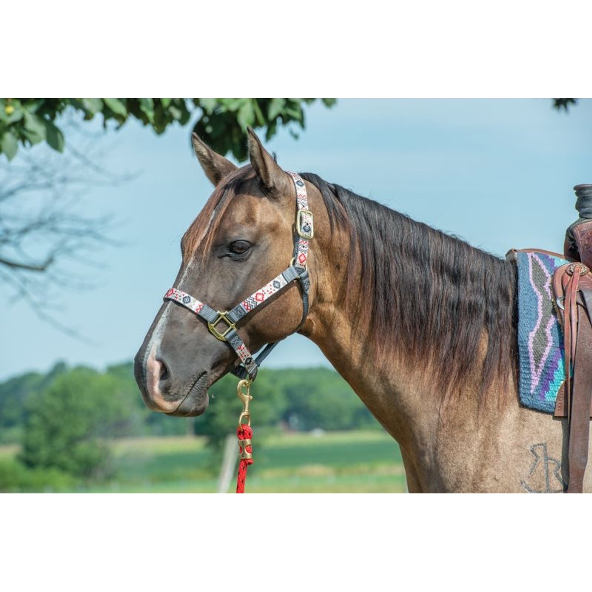 Weaver 1" Patterned Adjustable Halter