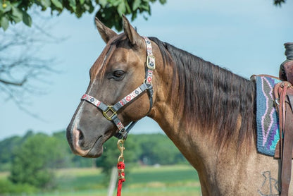 Weaver 1" Patterned Adjustable Halter