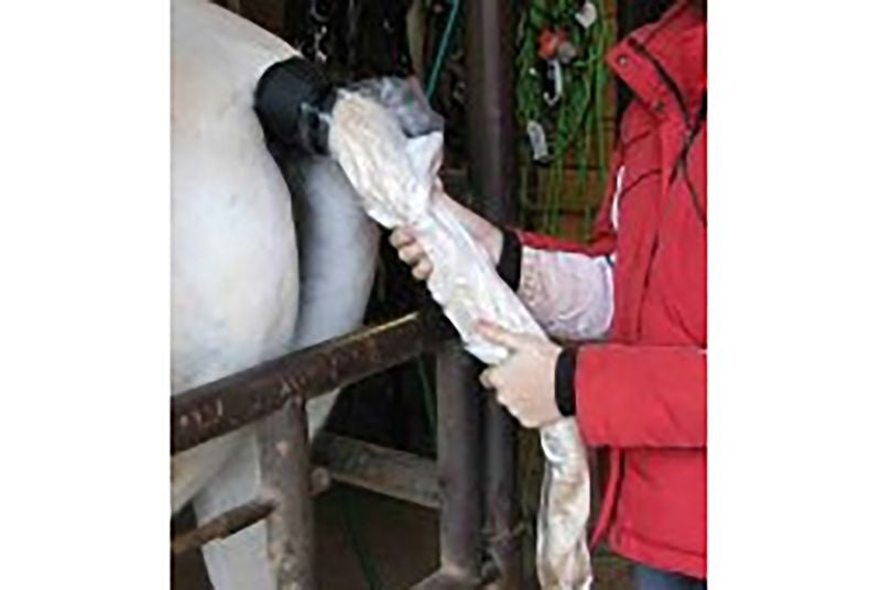 Horse Spa Tail Bucket Starter Kit