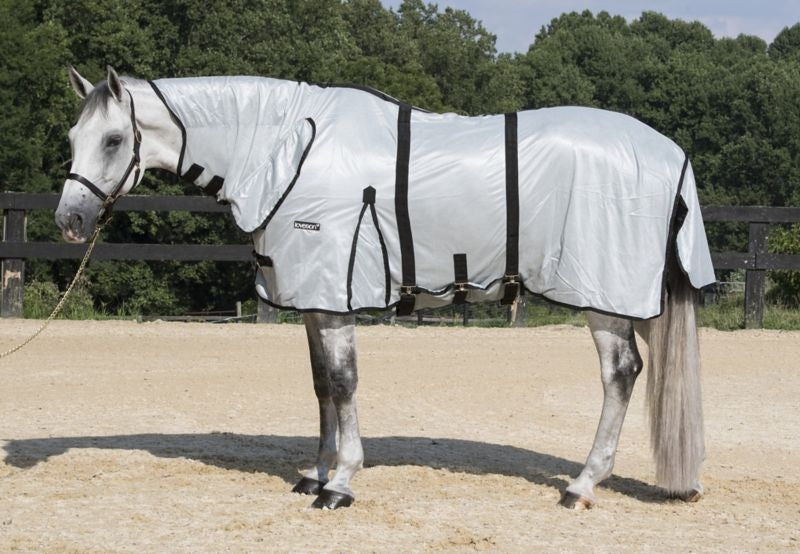 Loveson Fly Rug