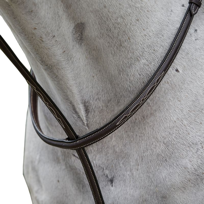 Collegiate Fancy Standing Martingale