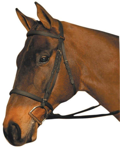 Wintec Bridle without Flash