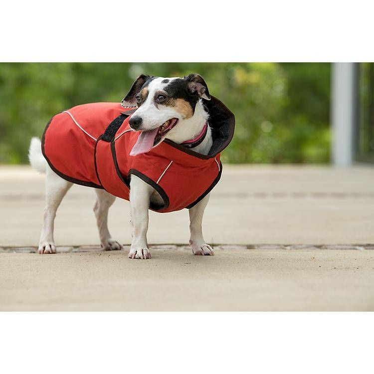 FITS All Weather Dog Coat
