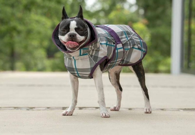 FITS All Weather Dog Coat