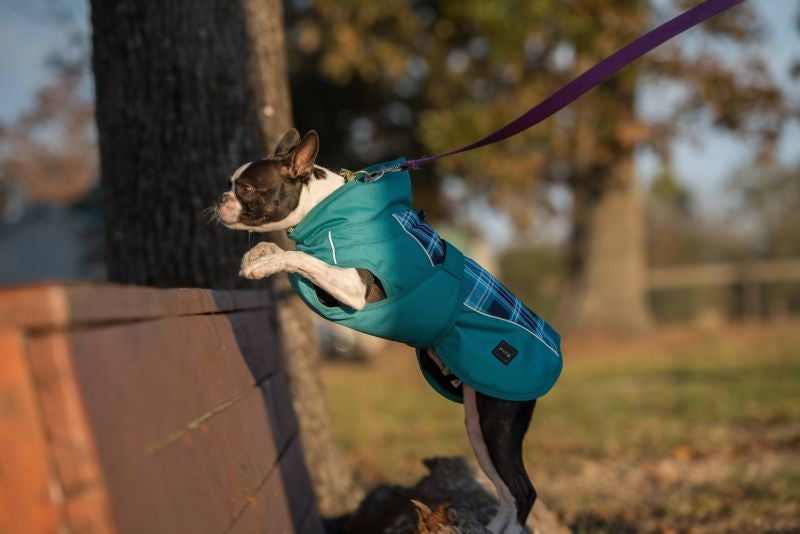 FITS All Weather Dog Coat