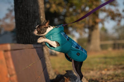 FITS All Weather Dog Coat