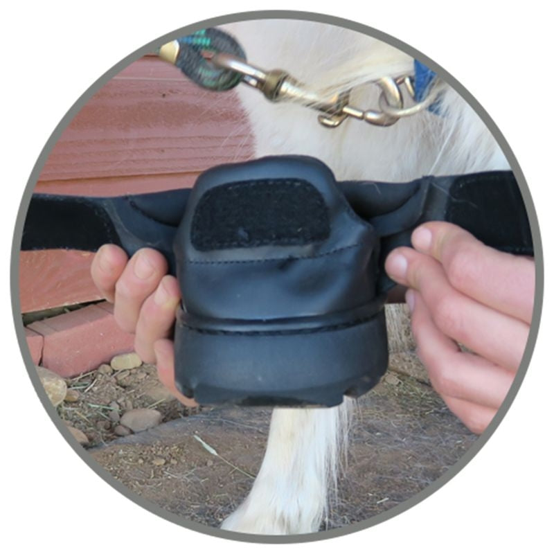 EasyCare Easyboot Mini Hoof Boot
