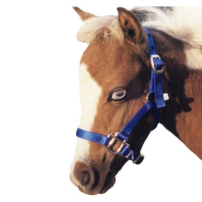 Neue Schule Tranz Angled Lozenge Pony Butterfly Pe