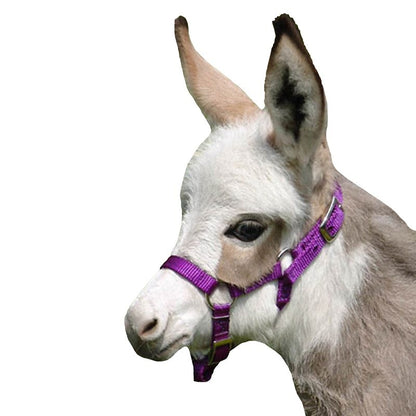 Neue Schule Tranz Angled Lozenge Pony Butterfly Pe
