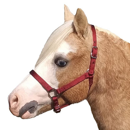 Neue Schule Tranz Angled Lozenge Pony Butterfly Pe