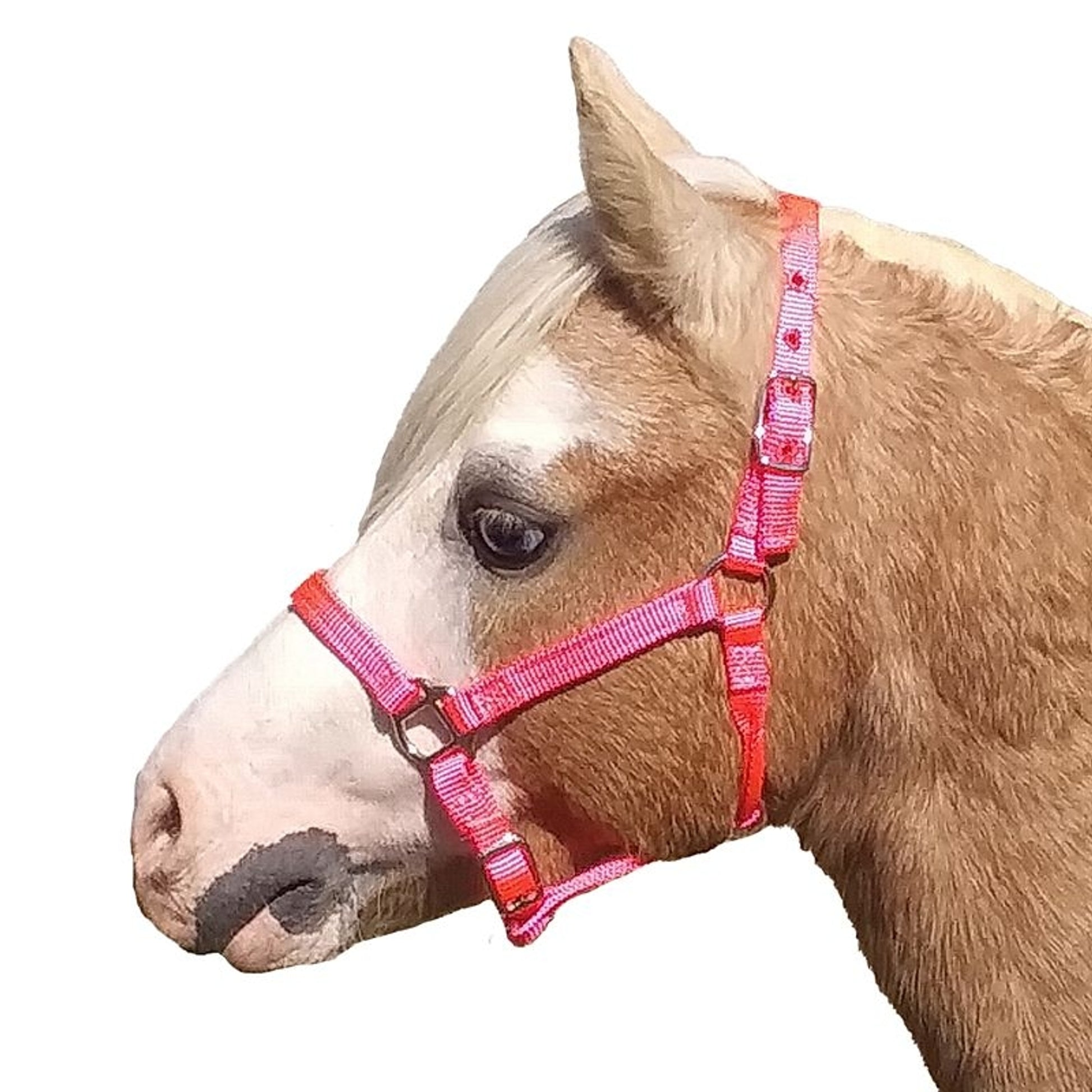 Neue Schule Tranz Angled Lozenge Pony Butterfly Pe