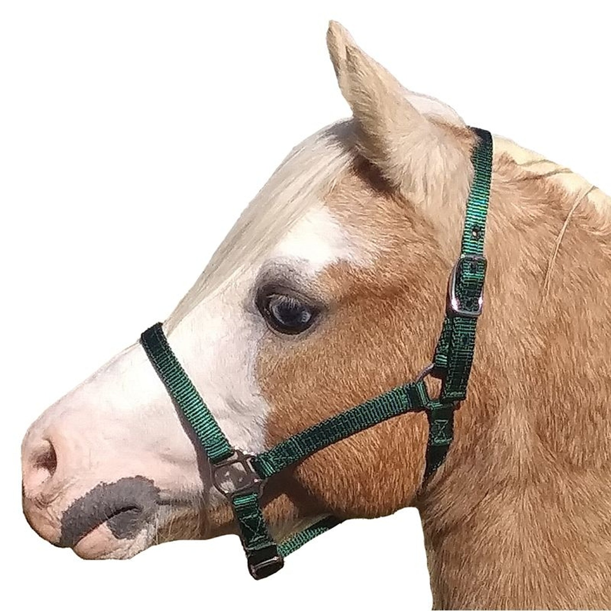 Neue Schule Tranz Angled Lozenge Pony Butterfly Pe