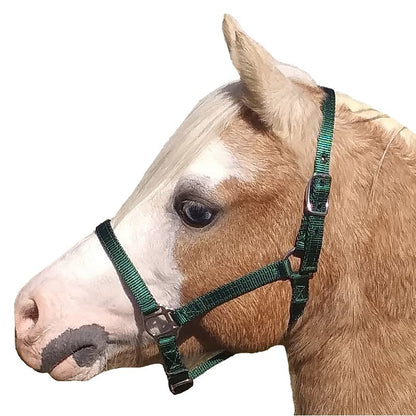 Neue Schule Tranz Angled Lozenge Pony Butterfly Pe