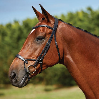 Collegiate ComFiTec Training Bridle