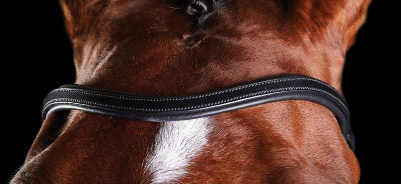 Collegiate ComFiTec Training Bridle