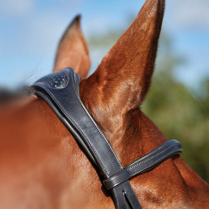 Collegiate ComFiTec Training Bridle