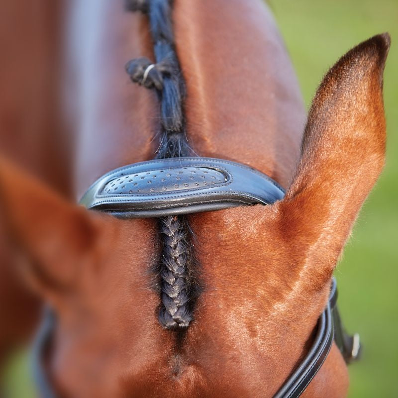 Collegiate ComFiTec Training Bridle