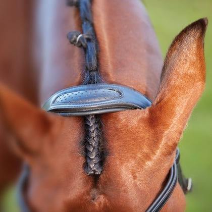 Collegiate ComFiTec Training Bridle