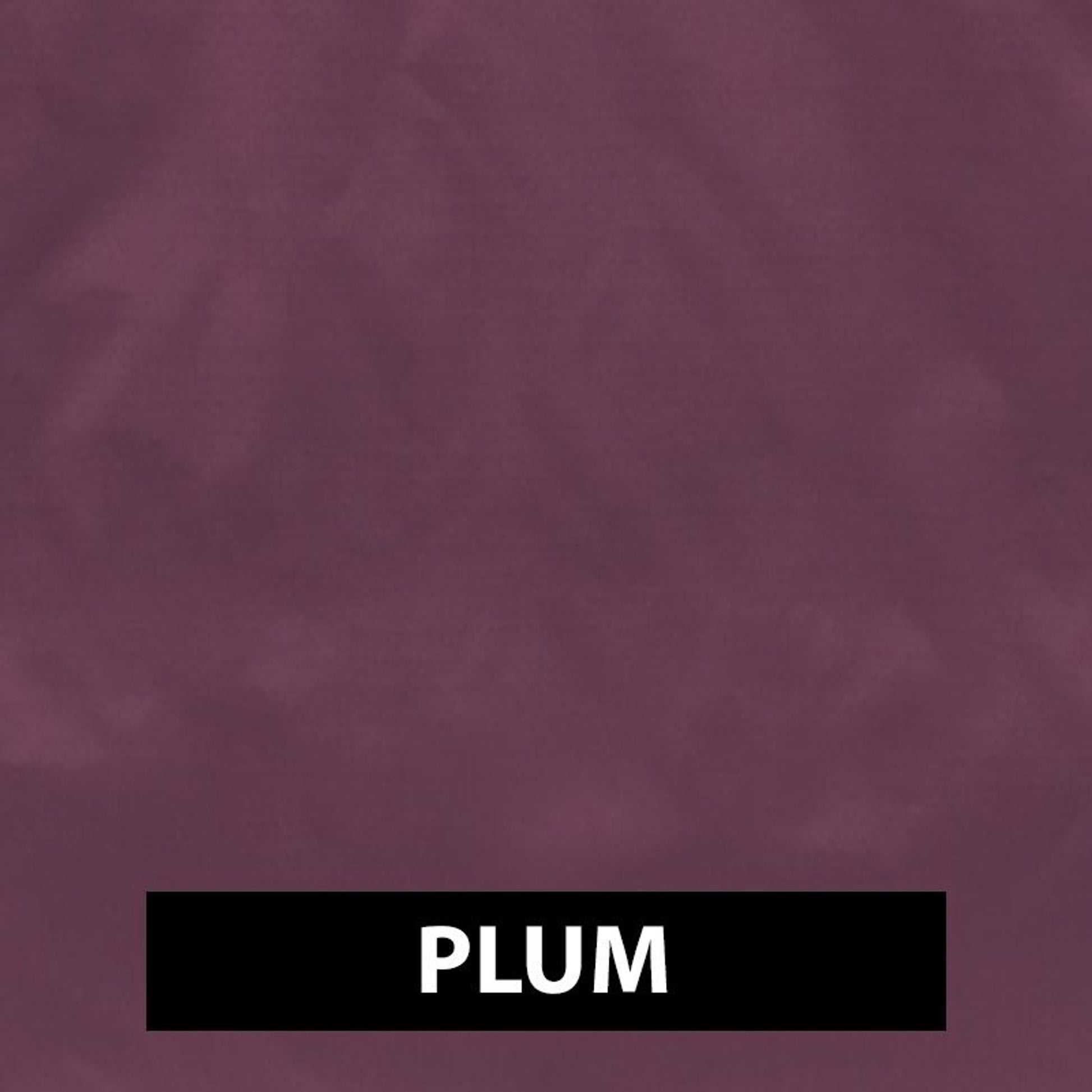 TE023813_Plum_Swatch.jpg
