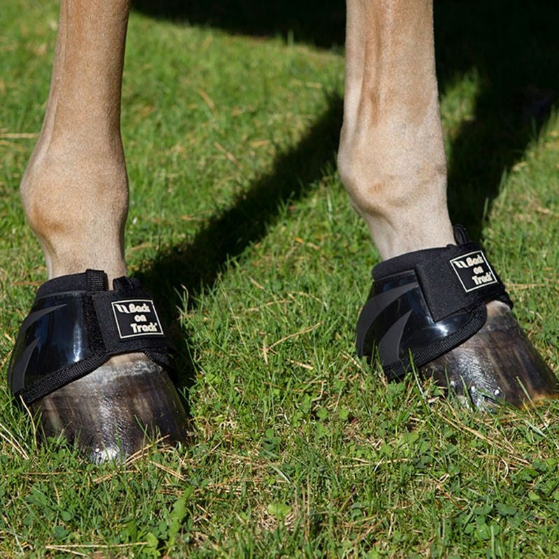 Back on Track Performance Bell Boots