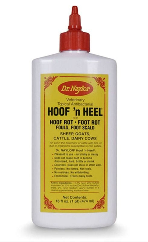 Dr. Naylor Hoof N Heel 16 oz