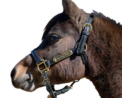 Ozark Mini/Pony Personalized Leather Halter