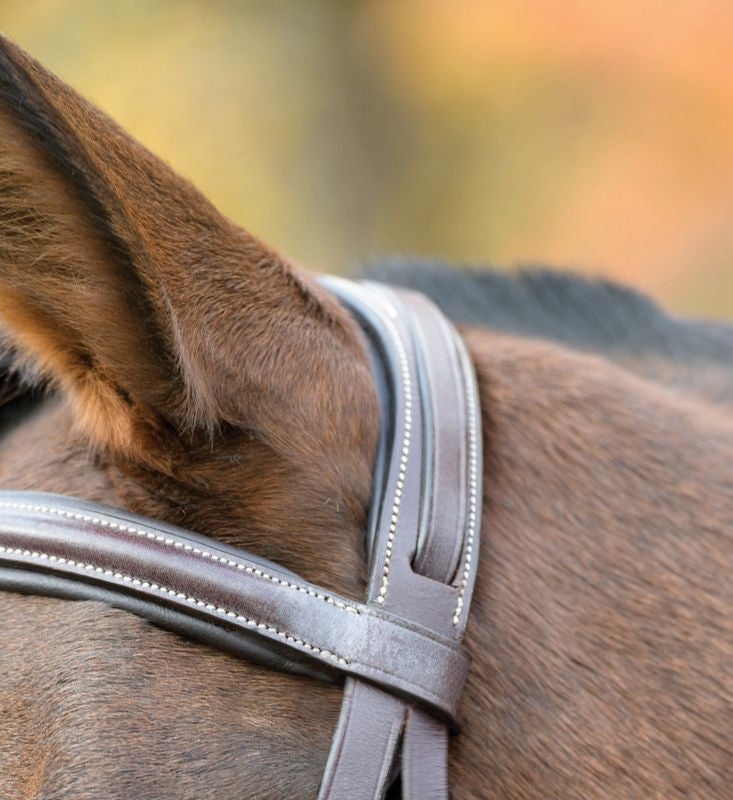 Shires Avignon Nashville Bridle