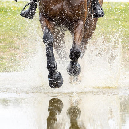 Shires ARMA Over Reach Boots