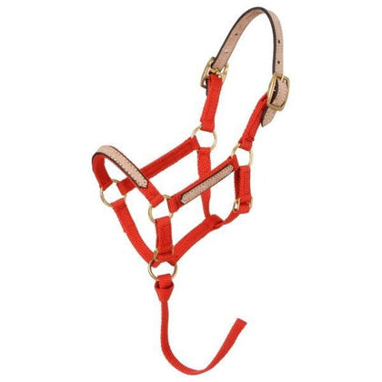 Tough1 Miniature Breakaway Halter