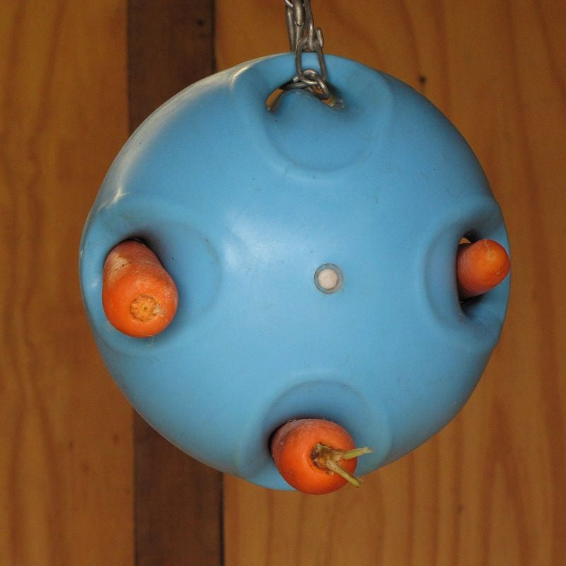 Shires Carrot Ball Horse Toy