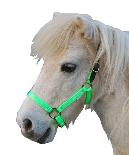 Triple E Nylon Mini Halter with Leather Crown