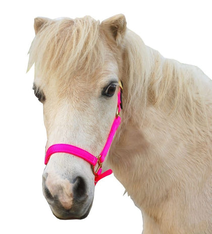 Triple E Nylon Mini Halter with Leather Crown