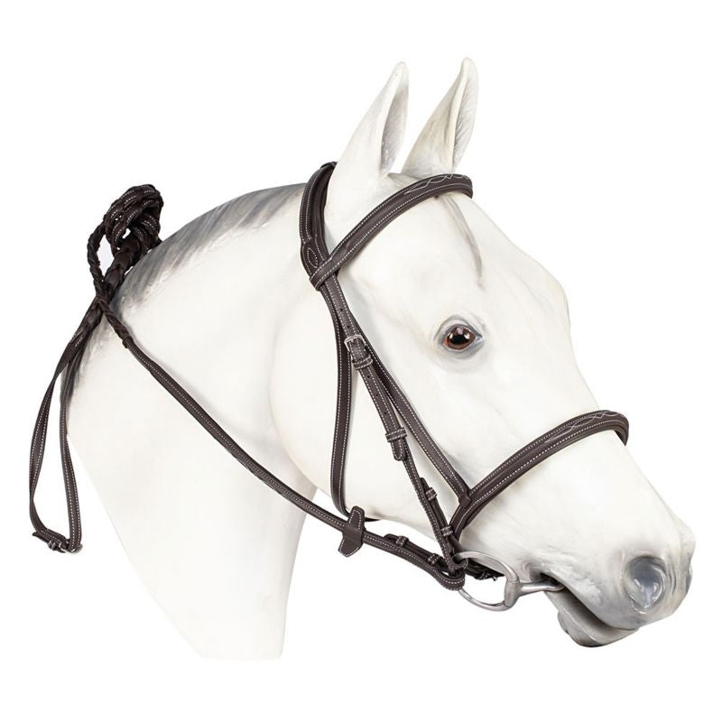 HDR Kushy Fancy Stitch Bridle Havana