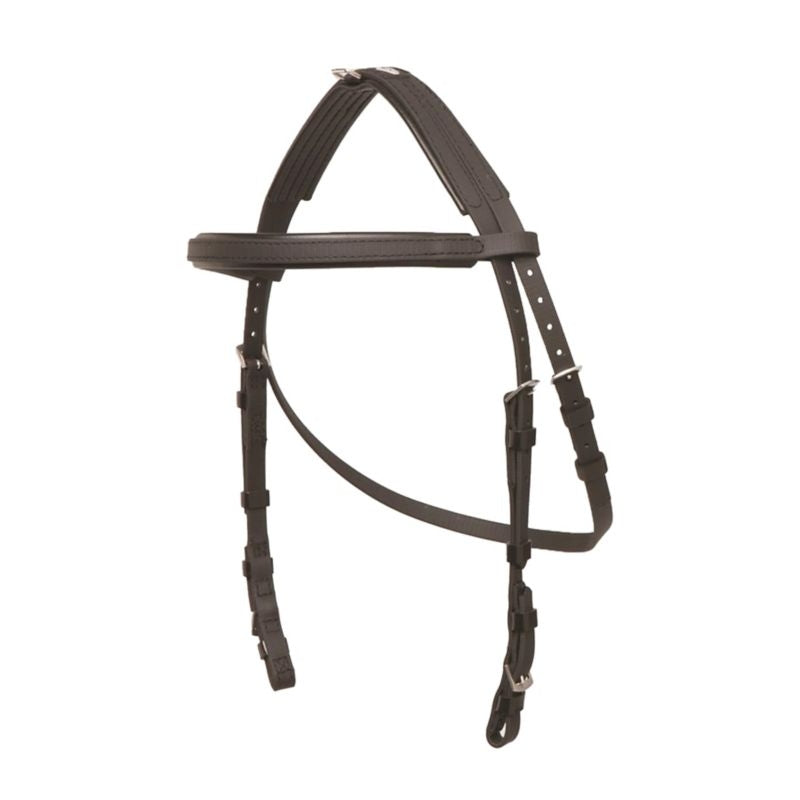 Zilco Hackamore Bridle