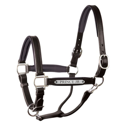 Perri's Personalized Padded Leather Halter