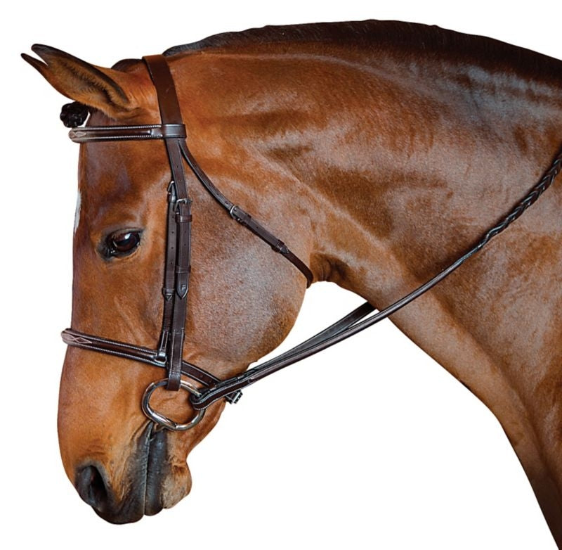 M Toulouse Standard Hunter Bridle