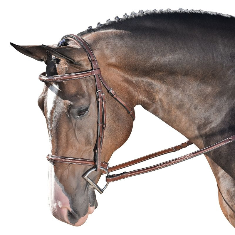 M. Toulouse Novice Hunter Bridle