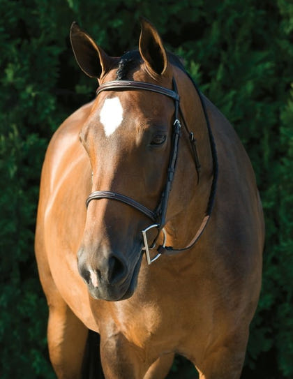 Gatsby Fancy Stitched Raised English Bridle