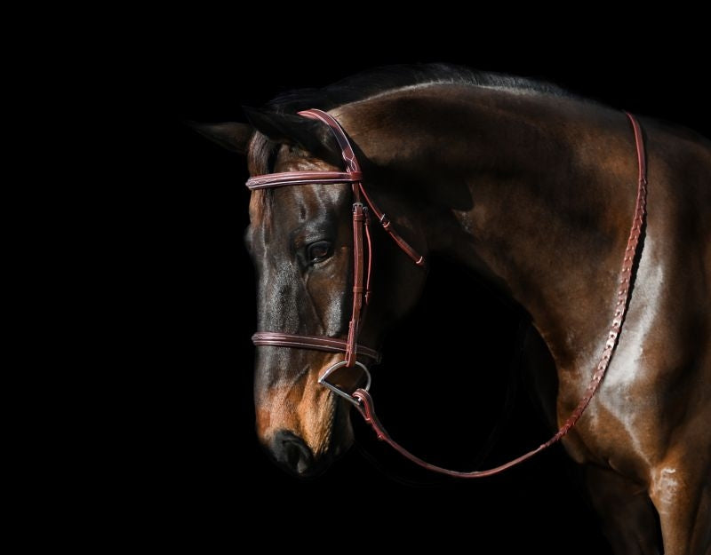 Gatsby Fancy Stitched Raised English Bridle