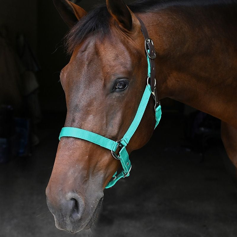 Gatsby Nylon Breakaway Halter