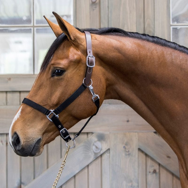 Gatsby Nylon Breakaway Halter