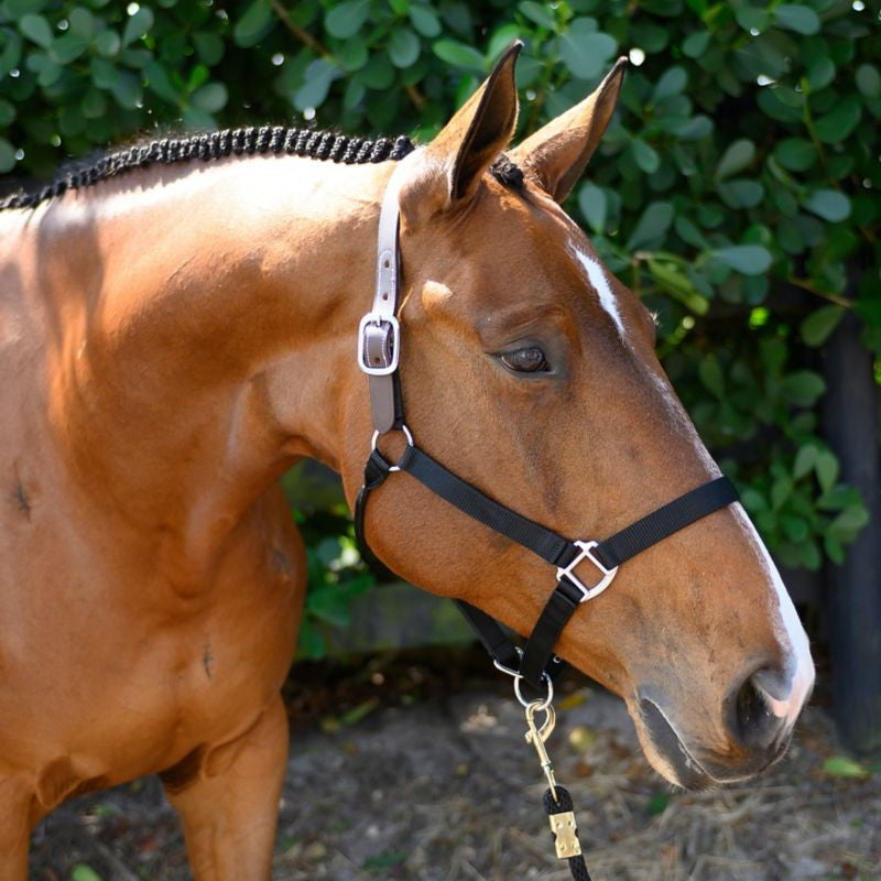 Gatsby Nylon Breakaway Halter