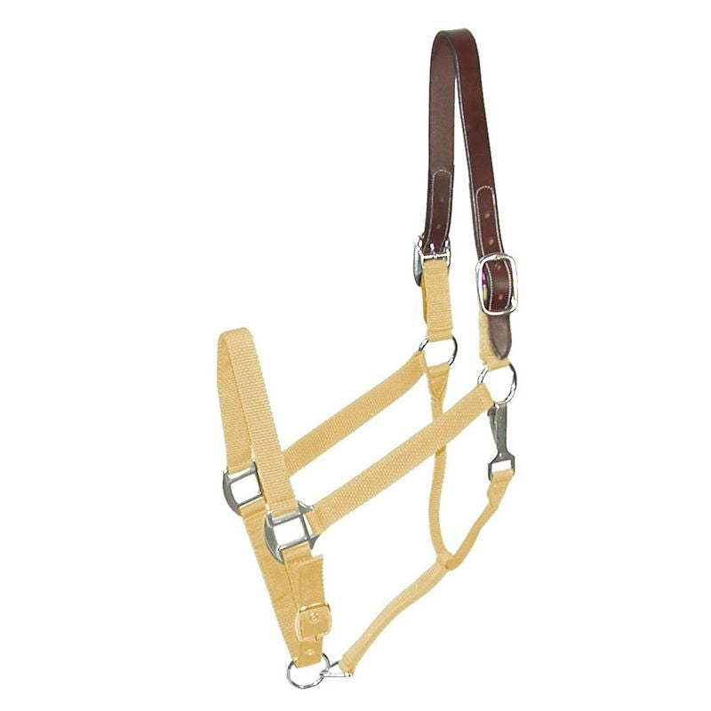 Gatsby Nylon Breakaway Halter