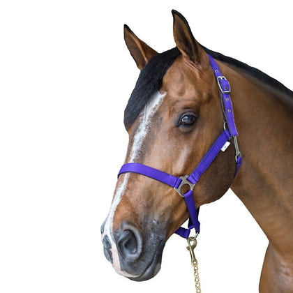 Gatsby Nylon Safety Breakaway Halter